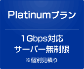 Platinumプラン 1Gbps対応サーバー無制限 ※個別見積り