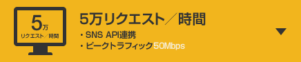 5万リクエスト／時間 ・SNS API連携 ・ピークトラフィック50Mbps