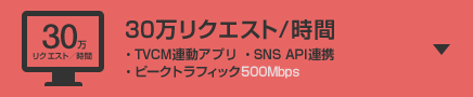 30万リクエスト/時間 ・TVCM連動アプリ ・SNS API連携 ・ピークトラフィック500Mbps