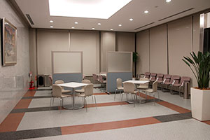 Entrance hall